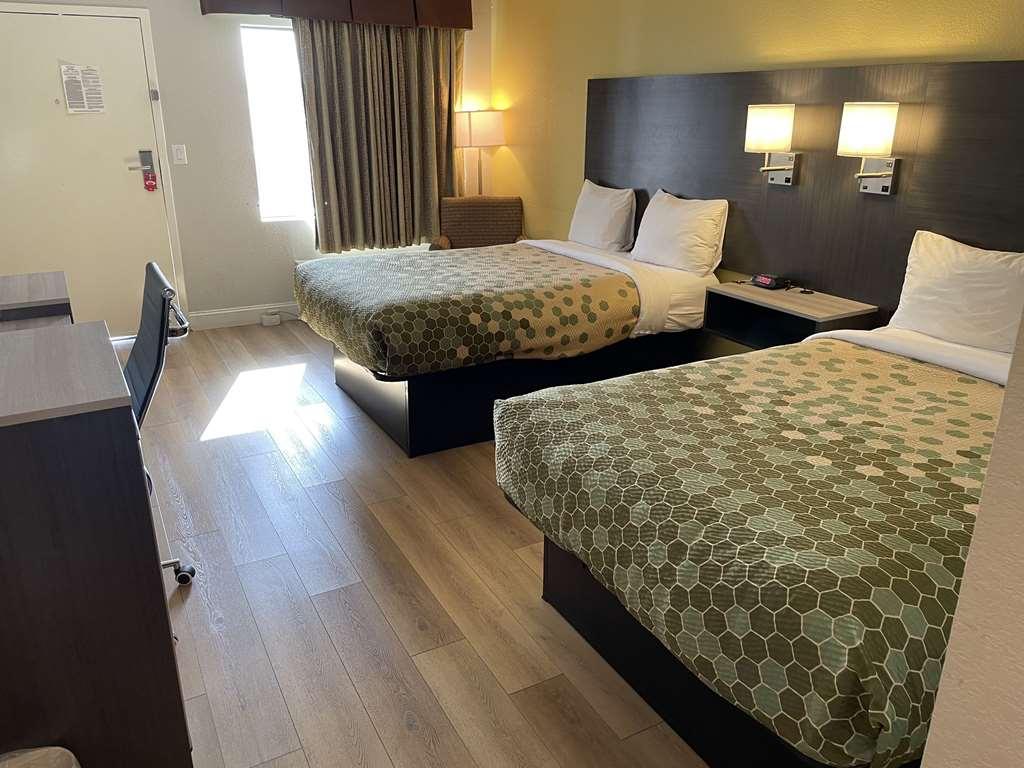 Econo Lodge White Pine Morristown I-81 & I-40 Split חדר תמונה